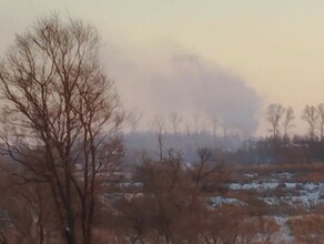 Сжигание ядохимикатов в Амурской области официально не прокомментировало ни одно ведомство