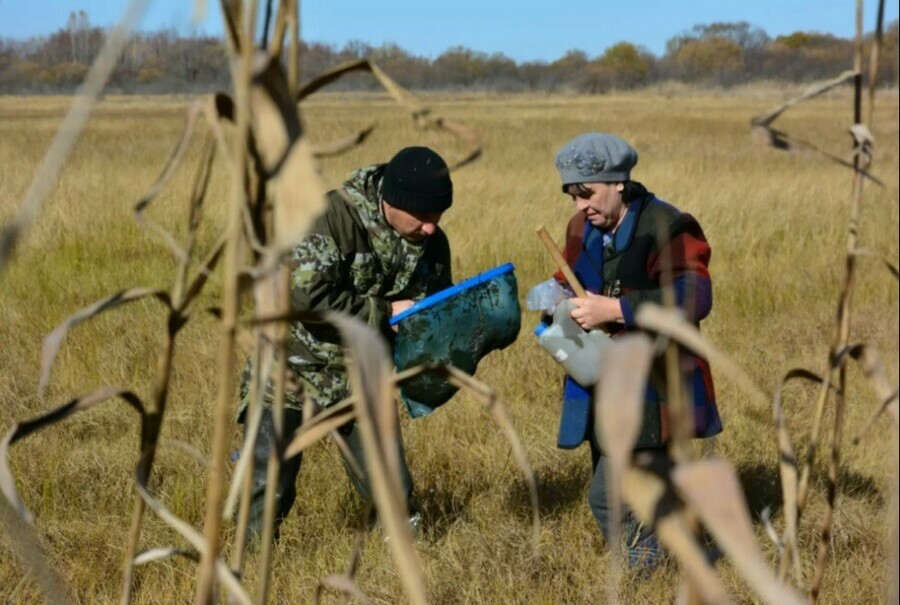 WWF в Приамурье в перьях птенцов аистов и журавлей обнаружены ртуть и мышьяк