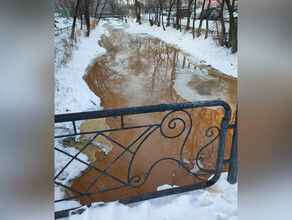 Бурхановка в Благовещенске окрасилась в краснорыжий цвет 