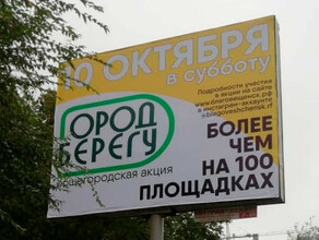 Огород уберу  Благовещенцы высказались о ребрендинге субботника в Интаграме мэра