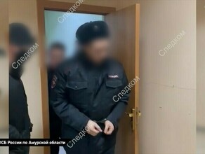 Лишили свободы и звания в Амурской области отправили в колонию начальника отдела ГИБДД