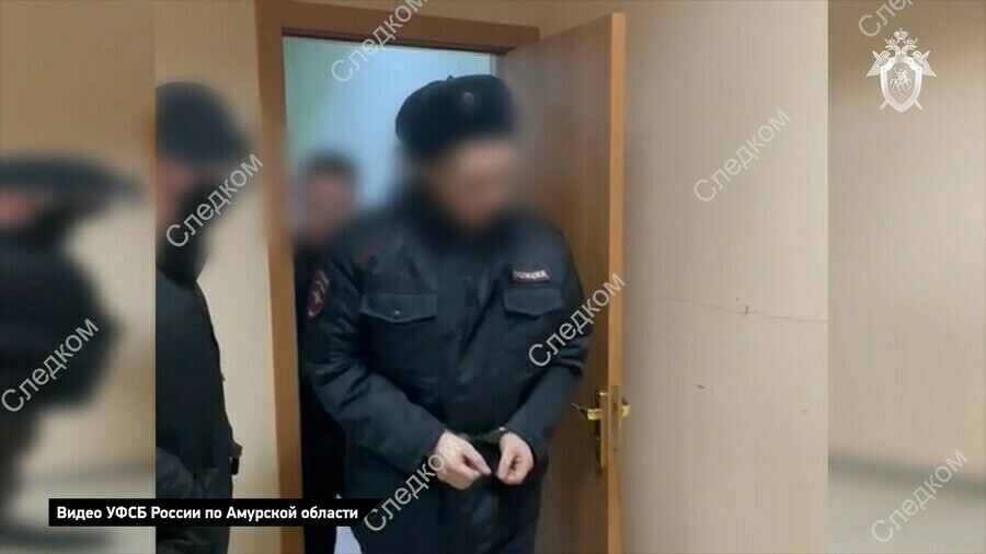 Лишили свободы и звания в Амурской области отправили в колонию начальника отдела ГИБДД