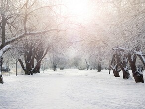 Морозы наступают погода в Амурской области 20 декабря