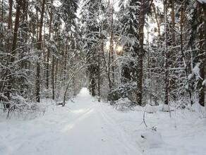 Существенное потепление ждет амурчан к середине недели 