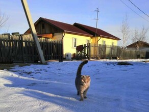 Я подумала что это шутка жителям села Гродеково сообщили что их дома снесут изза строительства дамбы 