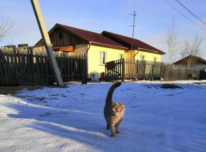 Я подумала что это шутка жителям села Гродеково сообщили что их дома снесут изза строительства дамбы 