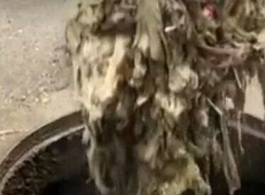 Жители Белогорска создали трудноустранимый канализационный засор