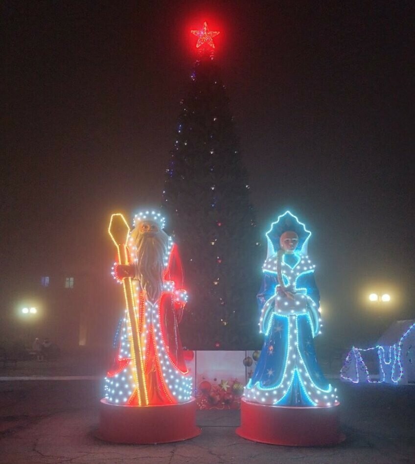 Амурская область подарила подшефному району ДНР новогоднюю ель и сладкие подарки