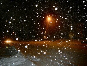 Ночью на дороге в Амурской области нашли замерзающего подростка