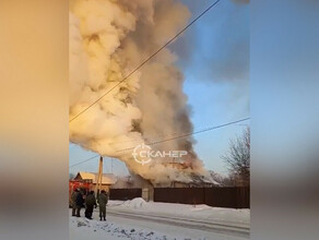 Дети сильно испугались амурская семья потеряла в пожаре дом в преддверии нового года видео