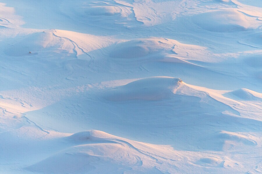 Небольшой снег какой будет погода в первый день января в Амурской области