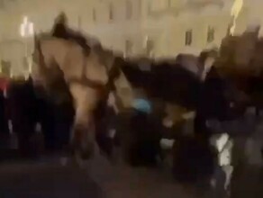 В Питере на Дворцовой площади карета с лошадьми врезалась в толпу людей видео