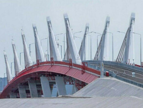 Все места заняты еще до открытия Амурский бизнес сообщил о перегрузках в первый день работы трансграничного моста через Амур в 2023 году