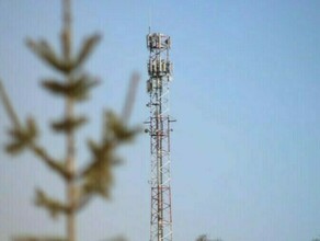 Более 90 населенных пунктов Приамурья в 2022 году получили высокоскоростной интернет Запуски продолжатся в 2023 году