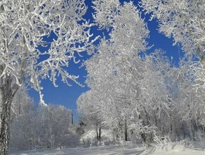 Природа создала в Зейском районе настоящую сказку фото видео