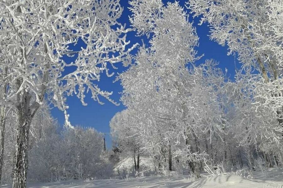 Природа создала в Зейском районе настоящую сказку фото видео