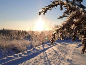 До 10 градусов ниже нуля когда в Приамурье заметно потеплеет 