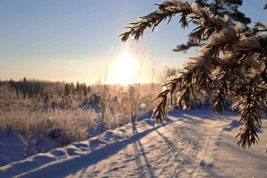 До 10 градусов ниже нуля когда в Приамурье заметно потеплеет 