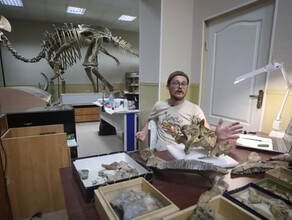 Динозавровые потроха торчат из сопки палеонтологи из Петербурга сняли фильм об уникальном местонахождении динозавров в Благовещенске