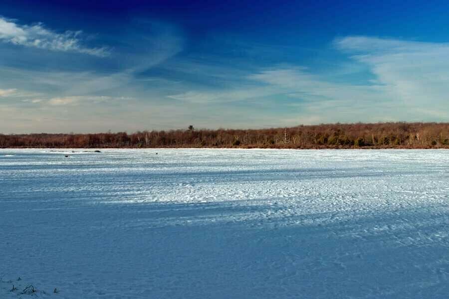 Резкое изменение погоды спрогнозировали в Приамурье 