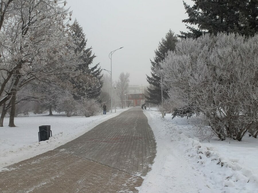 Небольшой снегопад ожидается в Амурской области прогноз погоды на 11 января