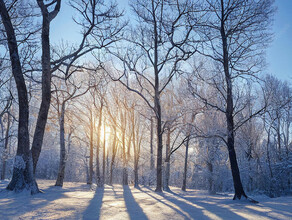 В Амурской области ожидаются осадки прогноз погоды на 12 января
