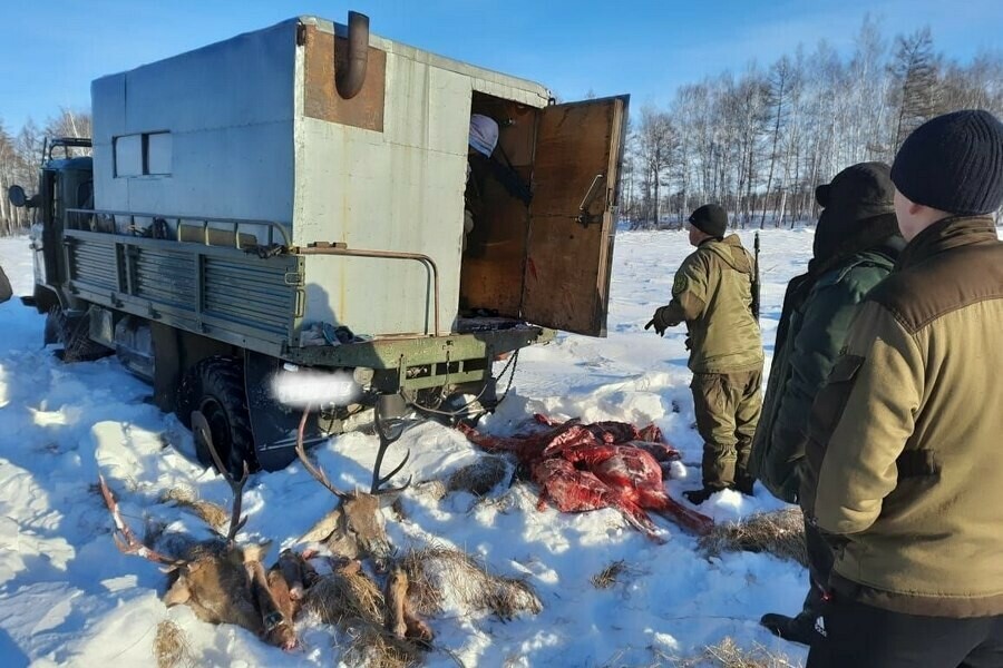 Чудом не сбили инспектора в Тындинском округе развязалась настоящая погоня за нарушителями 