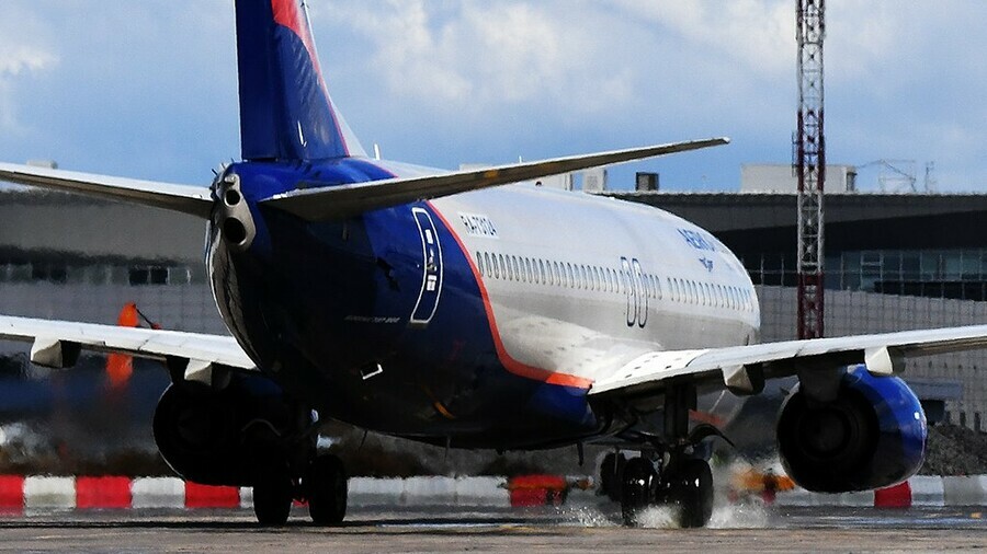Драка в самолете вызвала роды у пассажирки Летевший в Москву рейс совершил экстренную посадку