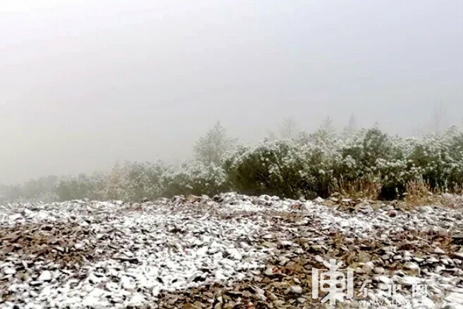 В провинции Хэйлунцзян выпал первый снег
