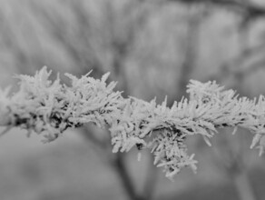 Синоптики объявили штормовое предупреждение изза аномальных морозов в Приамурье