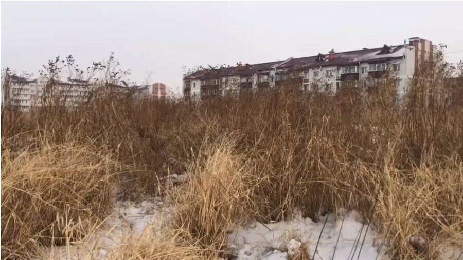 Тело сильно заморожено в амурском СК сообщили подробности о погибшем в Благовещенске мужчине