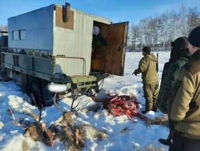 В отношении двух амурских браконьеров возбуждено уголовное дело