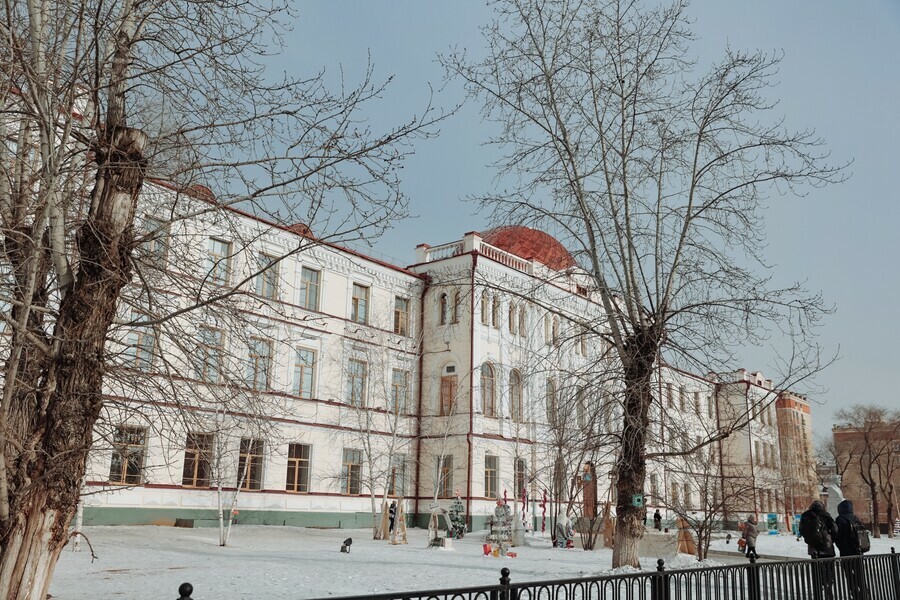 Власти озвучили что будет с деревьями в Алексеевской гимназии при ремонте школьного стадиона
