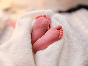 Появились подробности гибели новорожденной девочки в Тынде