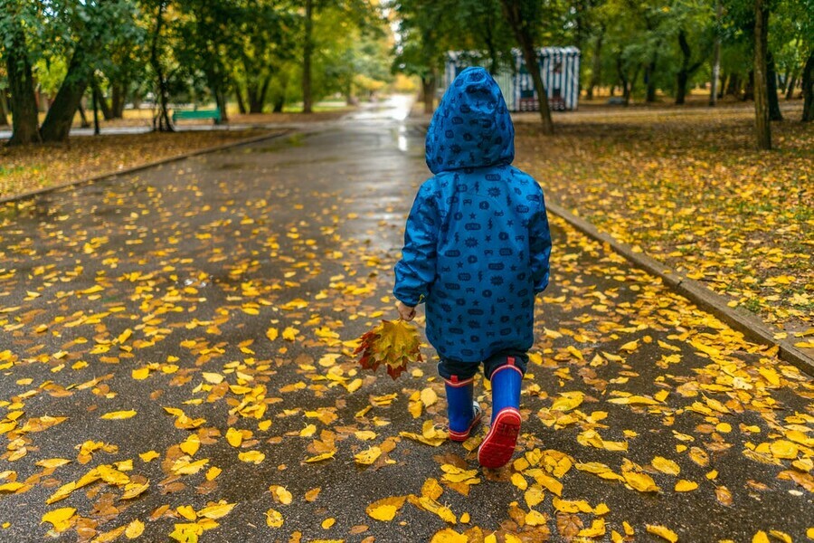 Тепло но очень дождливо в Гидрометцентре спрогнозировали каким будет октябрь в Амурской области