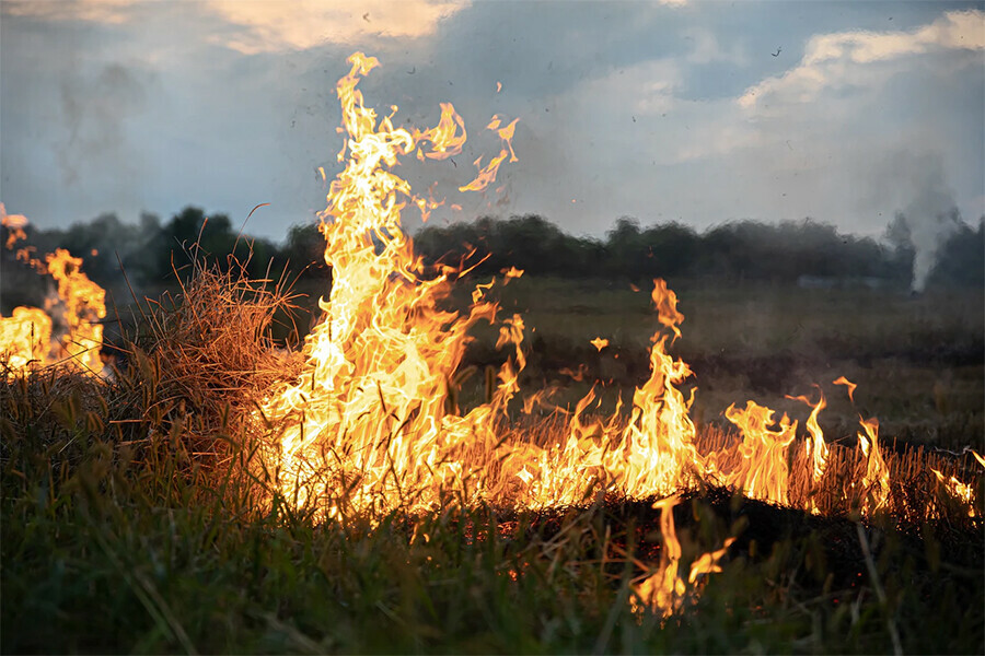 В Приамурье сократили подконтрольную зону тушения лесных пожаров