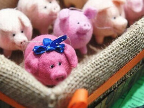 Под видом плюшевых свинушек в Интернете торговали свининой 