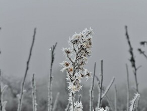 Рекордно низкую температуру отметили в Хабаровске 