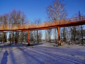 Необычный объект появился в парке Свободного фото 