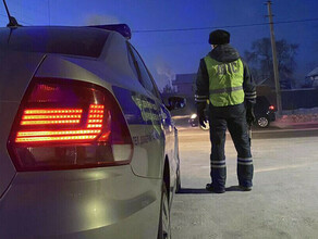 Благовещенец хулиганивший в машине полицейских отправлен в СИЗО на 15 суток