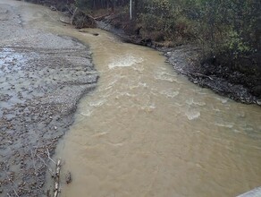 В Приамурье золотодобытчики выплатили более 2 миллионов за загрязнение ручья