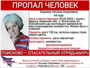 Пожилая женщина нуждающаяся в медпомощи пропала в амурском селе