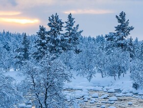 Местами до минус 40 прогноз погоды в Амурской области на 6 февраля