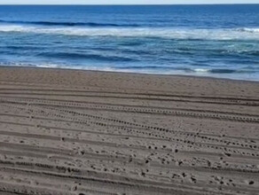 Следы от техники на видео совершенно чистого Халактырского пляжа оставили отдыхающие Так считают власти Камчатки