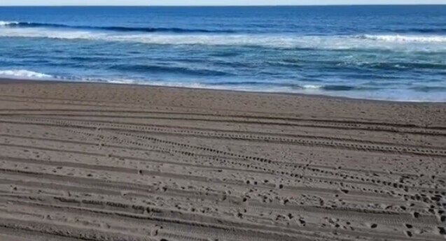 Следы от техники на видео совершенно чистого Халактырского пляжа оставили отдыхающие Так считают власти Камчатки