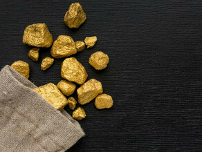 Амурчанин с другом незаметно наворовали золота на 8 миллионов