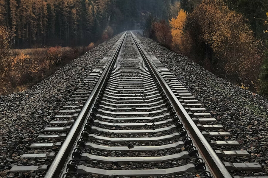 На железной дороге в Амурской области смертельные травмы получил монтер пути