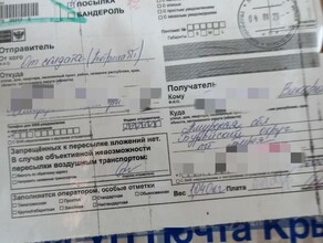 Думали розыгрыш юная амурчанка приняла участие в акции Письмо солдату История получила неожиданное продолжение