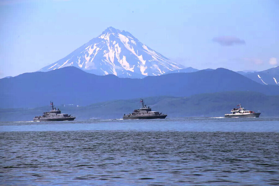 На Камчатке появились результаты проб воды в которой погибли морские животные