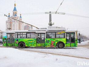 Они более экологичны и подходят под федеральные программы В Хабаровске власти решили развивать троллейбусную сеть